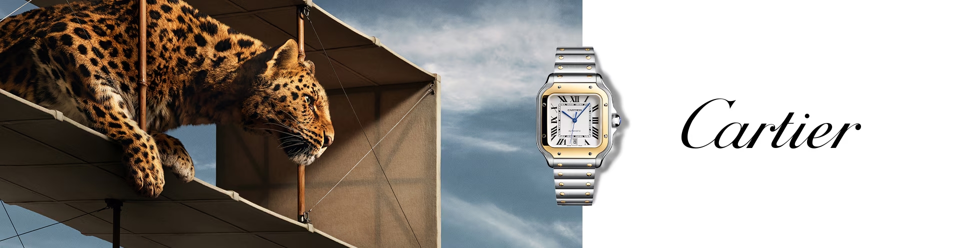 Cartier Santos Banner - Shop the Collection image
