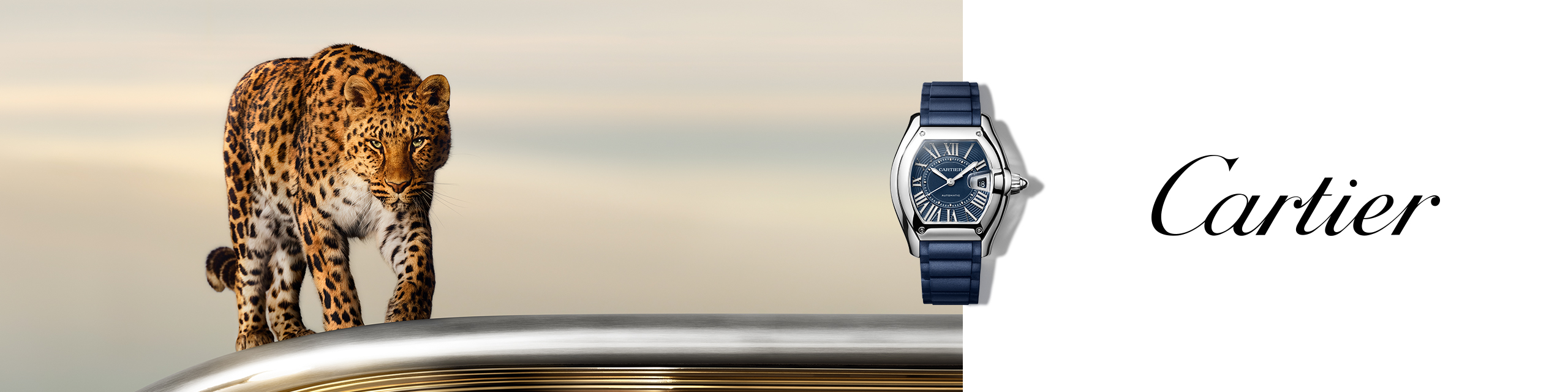 Cartier Roadster Banner - Shop the Collection image